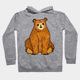 Bear Hug: Pixel Art Bear Design for Fashionable Attire Hoodie